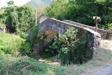 Tabernacolo a Don Ianni, antico ponte immerso nella natura, circondato da verde e storia.