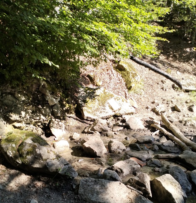 Lapide a Francini immersa nella natura, circondata da rocce e vegetazione.