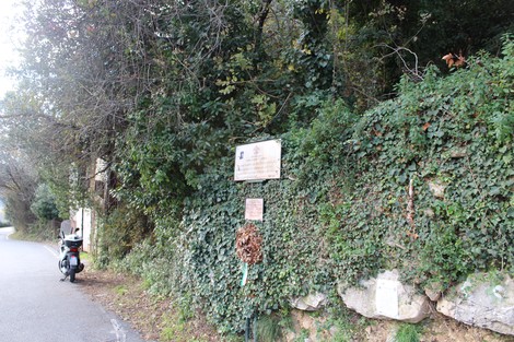 Targa commemorativa dedicata ai bambini vittime di un attacco con bomba, circondata da vegetazione.