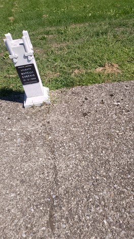 Cippi del viale della Rimembranza con base in cemento e segnale commemorativo, immersi in un prato verde.