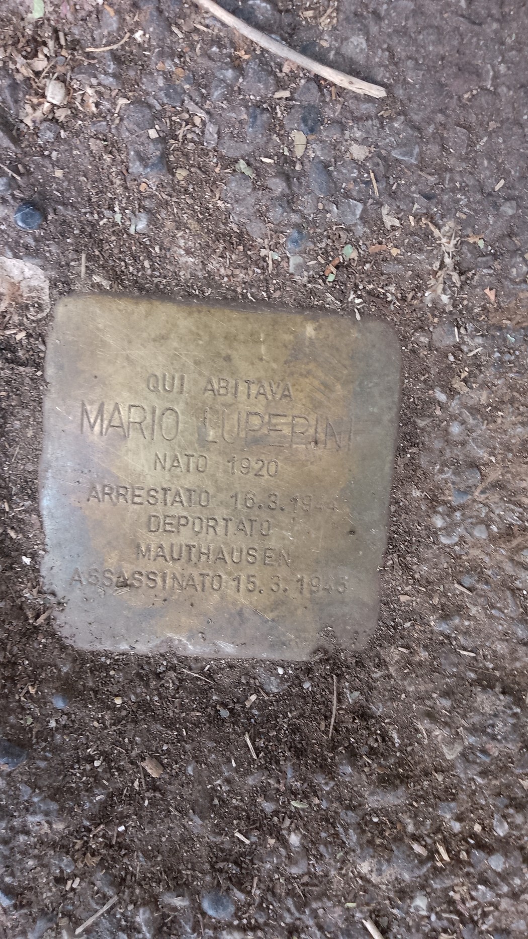 Pietra d'inciampo dedicata a Mario Luperini, con dettagli sulla sua vita e deportazione.