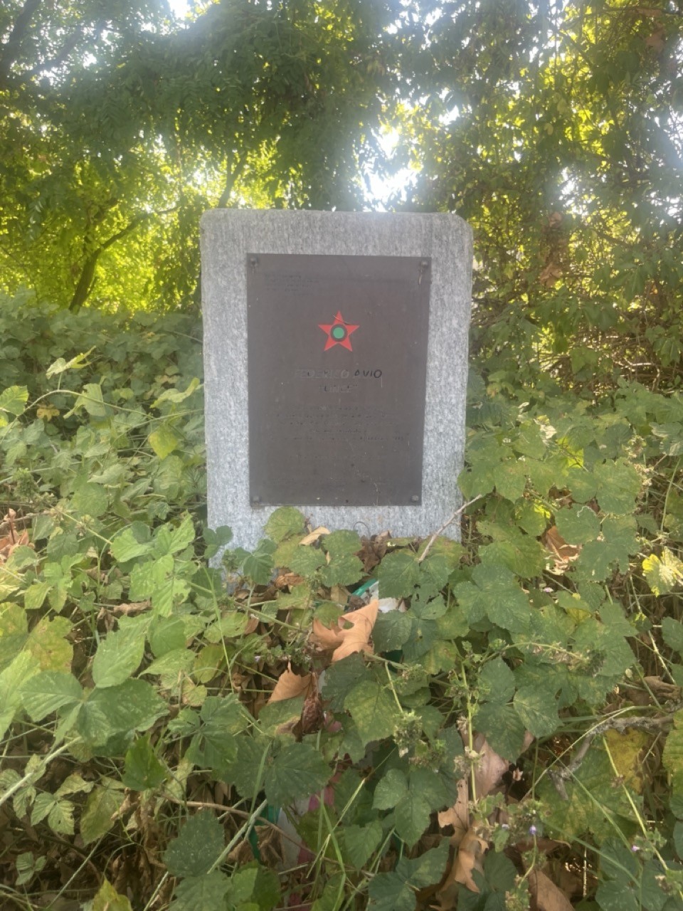 Monumento ad Avio immerso nella vegetazione, commemorativo e caratterizzato da una targa in metallo.