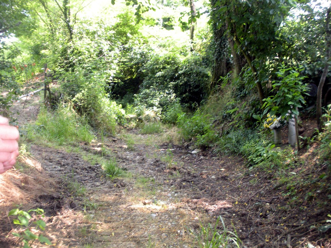 Sentiero immerso nella vegetazione, nei pressi del cippo a Varesi, tra natura e tranquillità.
