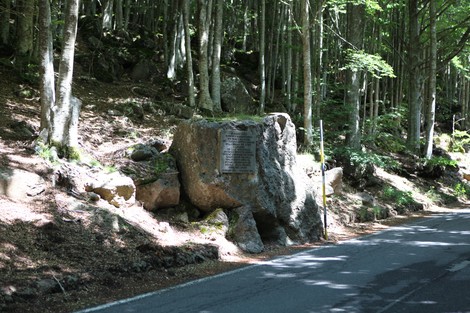 Lapide commemorativa dedicata alla brigata Lavagnini in un ambiente boschivo.