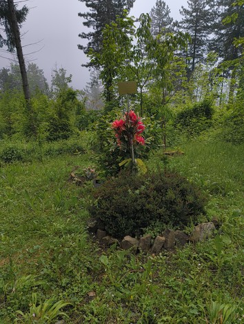 Memoriale ai partigiani, con fiori rossi e vegetazione verde, immerso in un ambiente naturale e tranquillo.