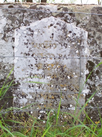 Cippo commemorativo dedicato a Bondi, Fognani e Tonveronachi, immerso nella natura.