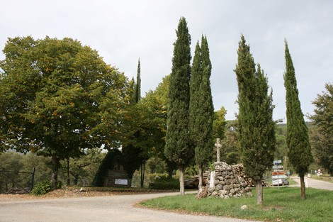 Monumento di Falzano: un luogo storico circondato da alberi e un'atmosfera di tranquillità.