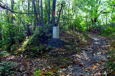 Cippo in un bosco, circondato da vegetazione e foglie, lungo un sentiero escursionistico.