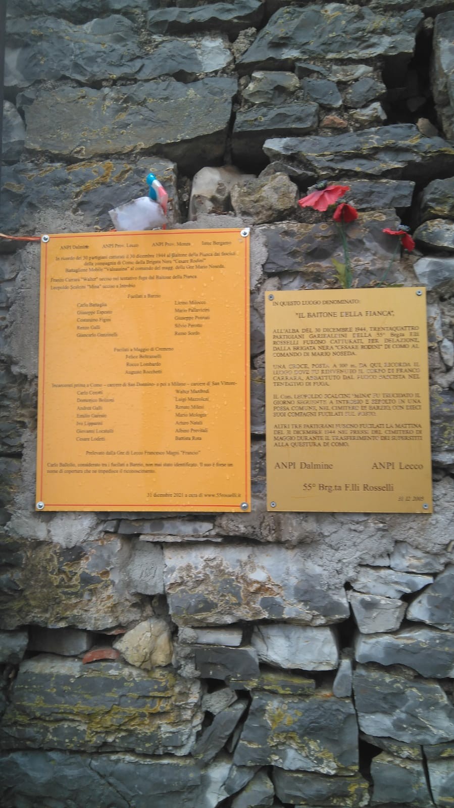 Targhe informative appese su un muro di pietra, circondate da elementi naturali.