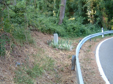 Cippo commemorativo circondato da vegetazione lungo una strada curvilinea.