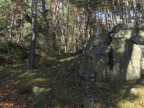 Targa su una roccia nel bosco, circondata da alberi e foglie secche, ambiente naturale tranquillo.