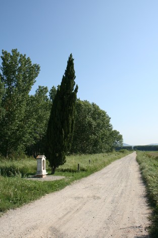 Tabernacolo dedicato a Lia Parenti, immerso nella natura lungo una strada sterrata.