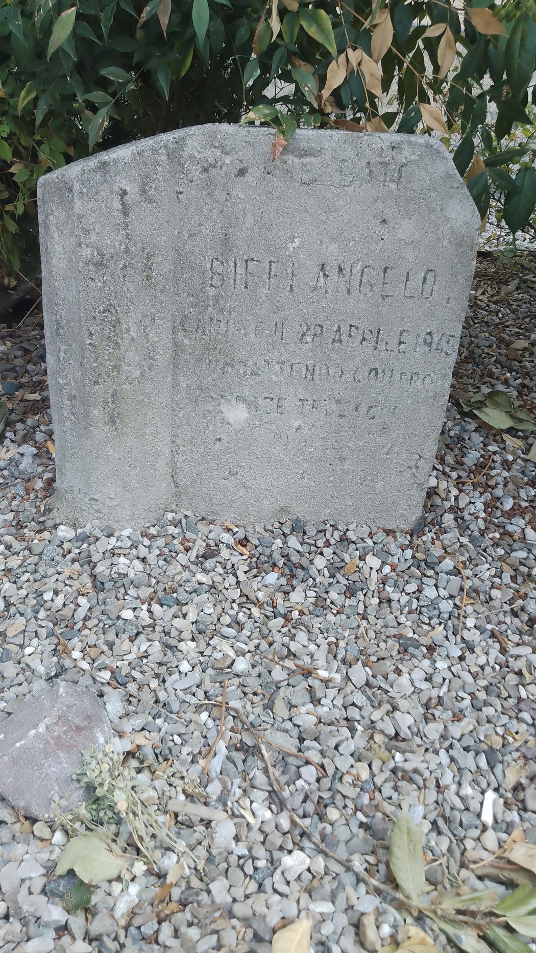 Cippi a Biffi e Pagnoncelli, Comune di Brembate (BG), foto 1