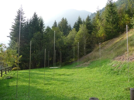 Monumento ai Dodici Caduti, stele immerse nella natura, circondate da alberi e un prato verde.