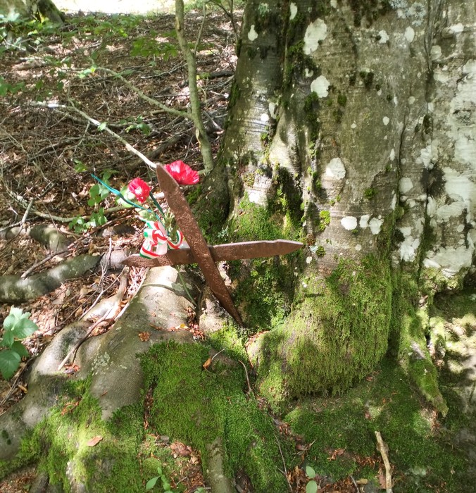 Croce a Bandelloni in un bosco, circondata da muschio e fiori, simbolo di memoria e spiritualità.