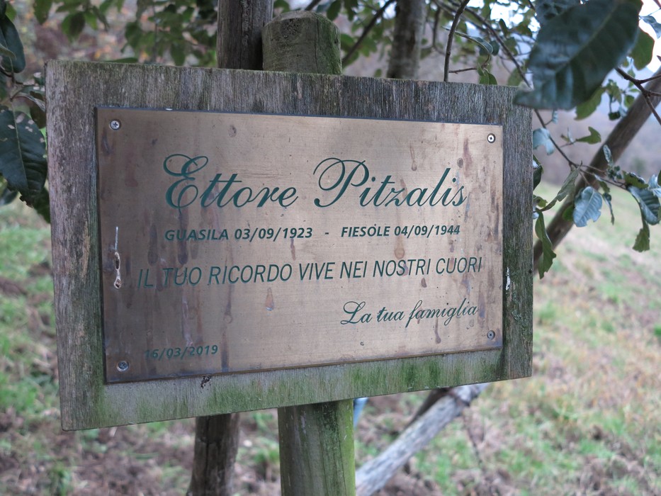 Targa commemorativa in memoria di Ettore Pitzalis, situata nel leccio a Pitzalis, simbolo di affetto e ricordo.