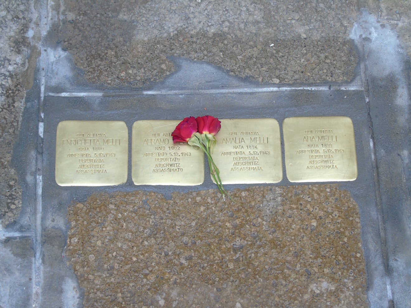 Pietre d'inciampo commemorative dedicate alla famiglia Melli, decorate con fiori rossi.