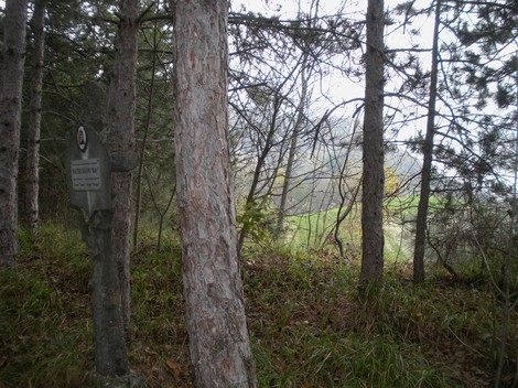 Targa commemorativa immersa nel verde, circondata da alberi e natura. Atmosfera di tranquillità.