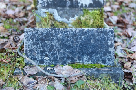 Cippo in pietra ricoperto di muschio e foglie, immerso nella vegetazione.