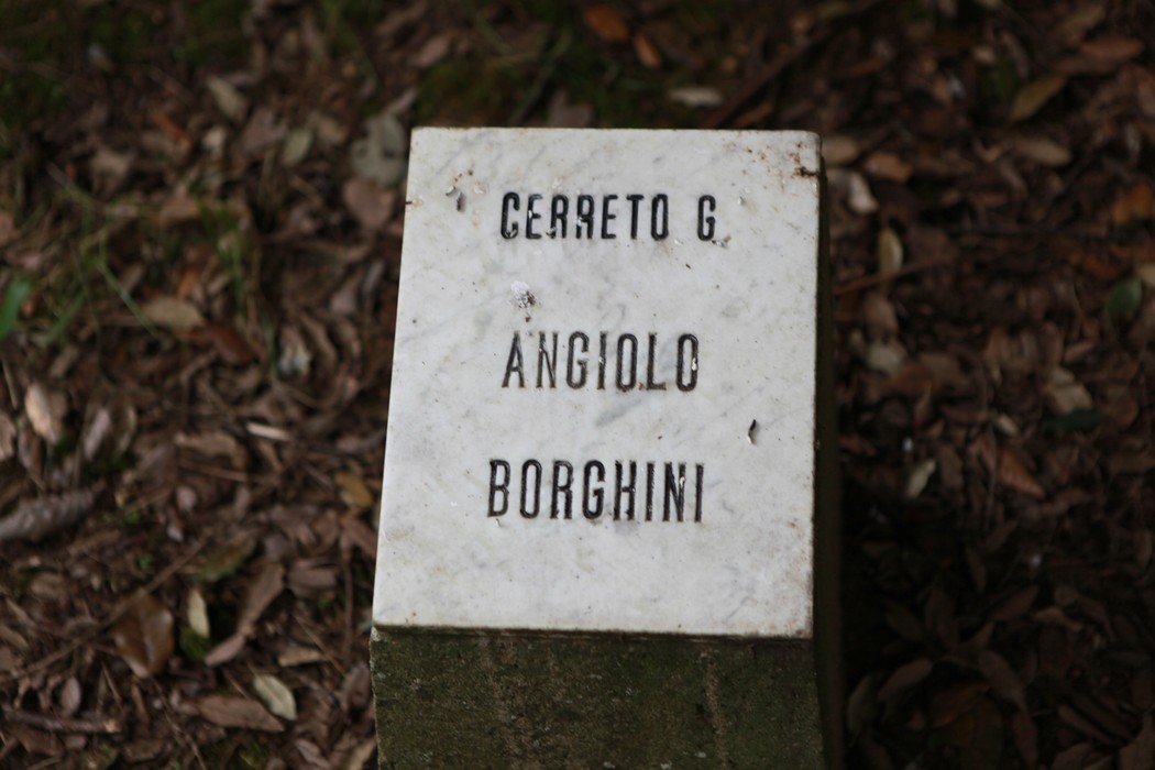 Un angolo di quiete immerso nella natura, ideale per meditazione e riflessione interiore.