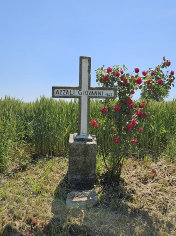 Croce commemorativa con rose, situata tra i campi verdi, in un giorno di sole.