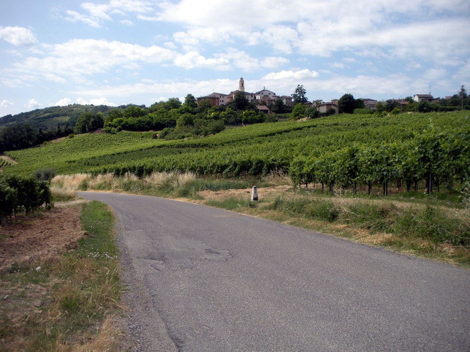 Panorama di vigneti con vista su un paese collinare, cielo sereno e strade rurali.