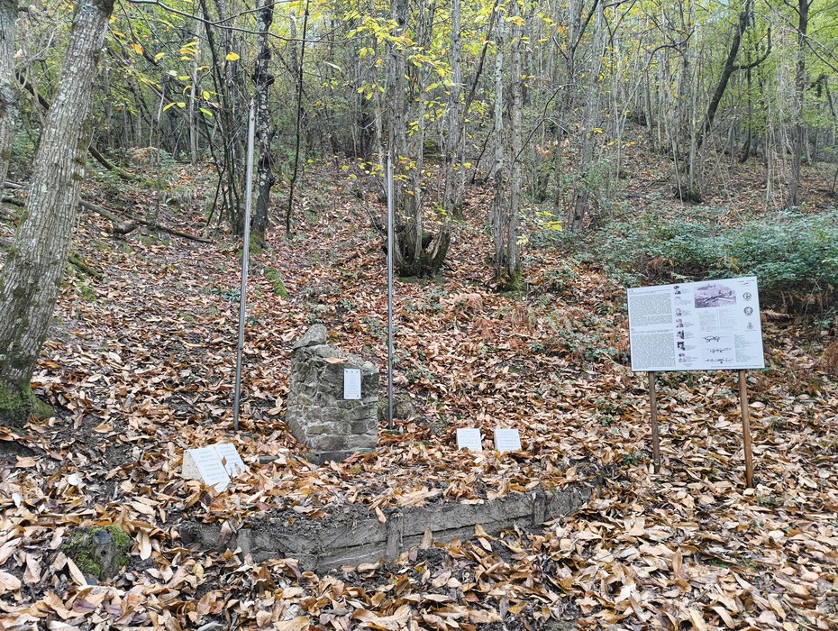 Monumento commemorativo dedicato all'equipaggio del B25J, immerso nella natura tra foglie autunnali.