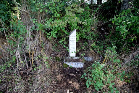 Cippo a Forti, un monumento immerso nella natura, circondato da vegetazione e tracce di storia locale.
