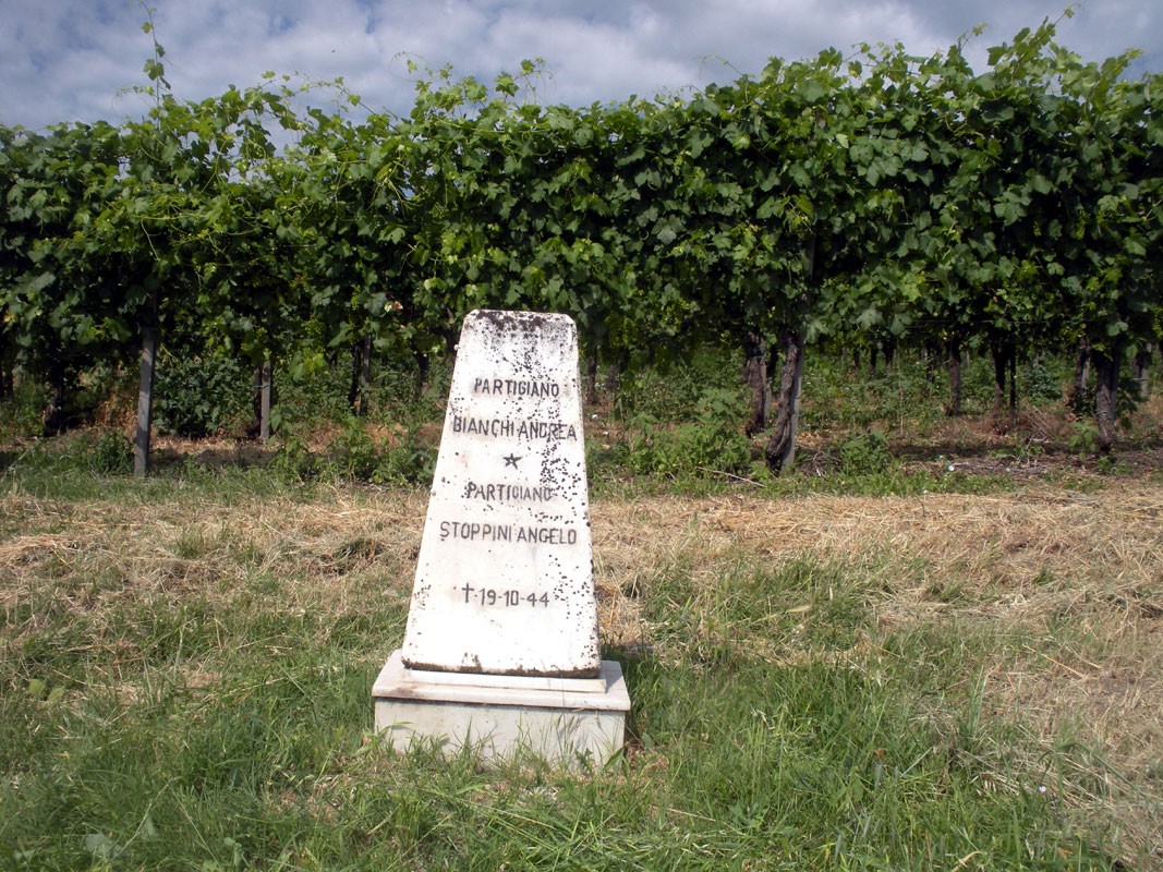 Lapide commemorativa dedicata a Bianchi e Stoppini, situata tra i filari di un vigneto.