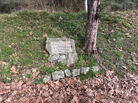 Cippo commemorativo a Faliero Pucci, situato in un'area verde e circondato da foglie secche.