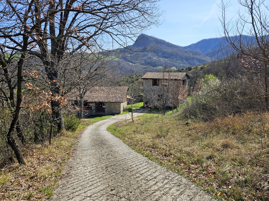 Lapide ai Caduti della strage di Predellino, Comune di Castel d'Aiano (BO), foto 5