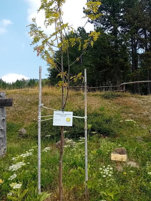 Giardino della Resistenza e della Pace fra i Popoli, Comune di Viù (TO), foto 12