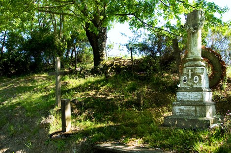 Cippo commemorativo in una zona verde, circondato da alberi e natura. Un simbolo di memoria storica.