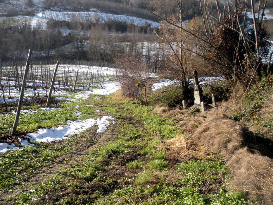Sentiero di campagna con cippo storico tra vigneti e paesaggio invernale.