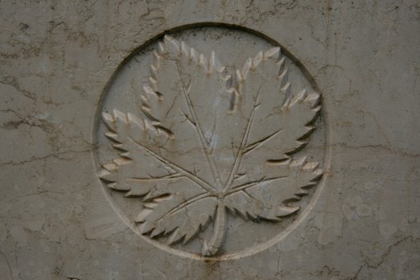 Scultura di una foglia su un monumento nel cimitero di guerra di Arezzo, dedicato ai soldati caduti.