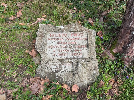 Cippo commemorativo dedicato a Faliero Pucci, partigiano e combattente per la libertà, immerso nella natura.