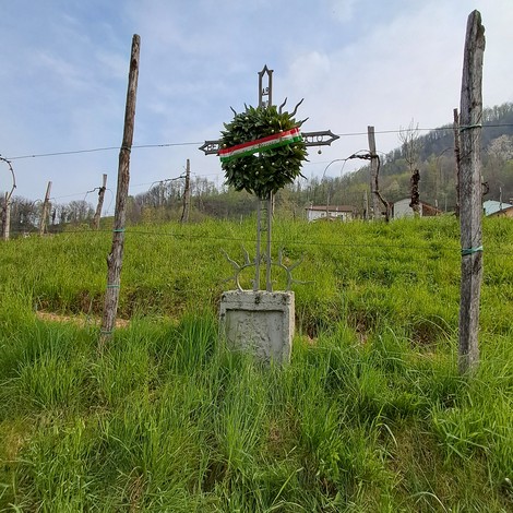Croce a Volpato immersa nel verde, circondata da vigneti e collina sullo sfondo, simbolo di memoria e tradizione.