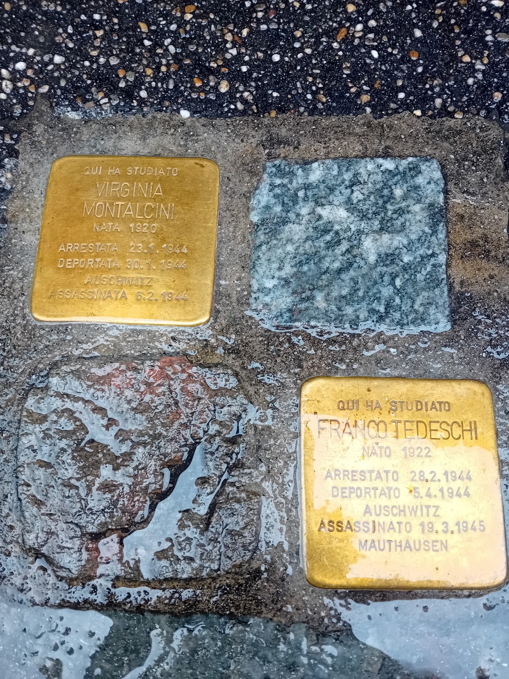 Pietra d'inciampo a Montalcini e Tedeschi, Comune di Torino (TO), foto 1